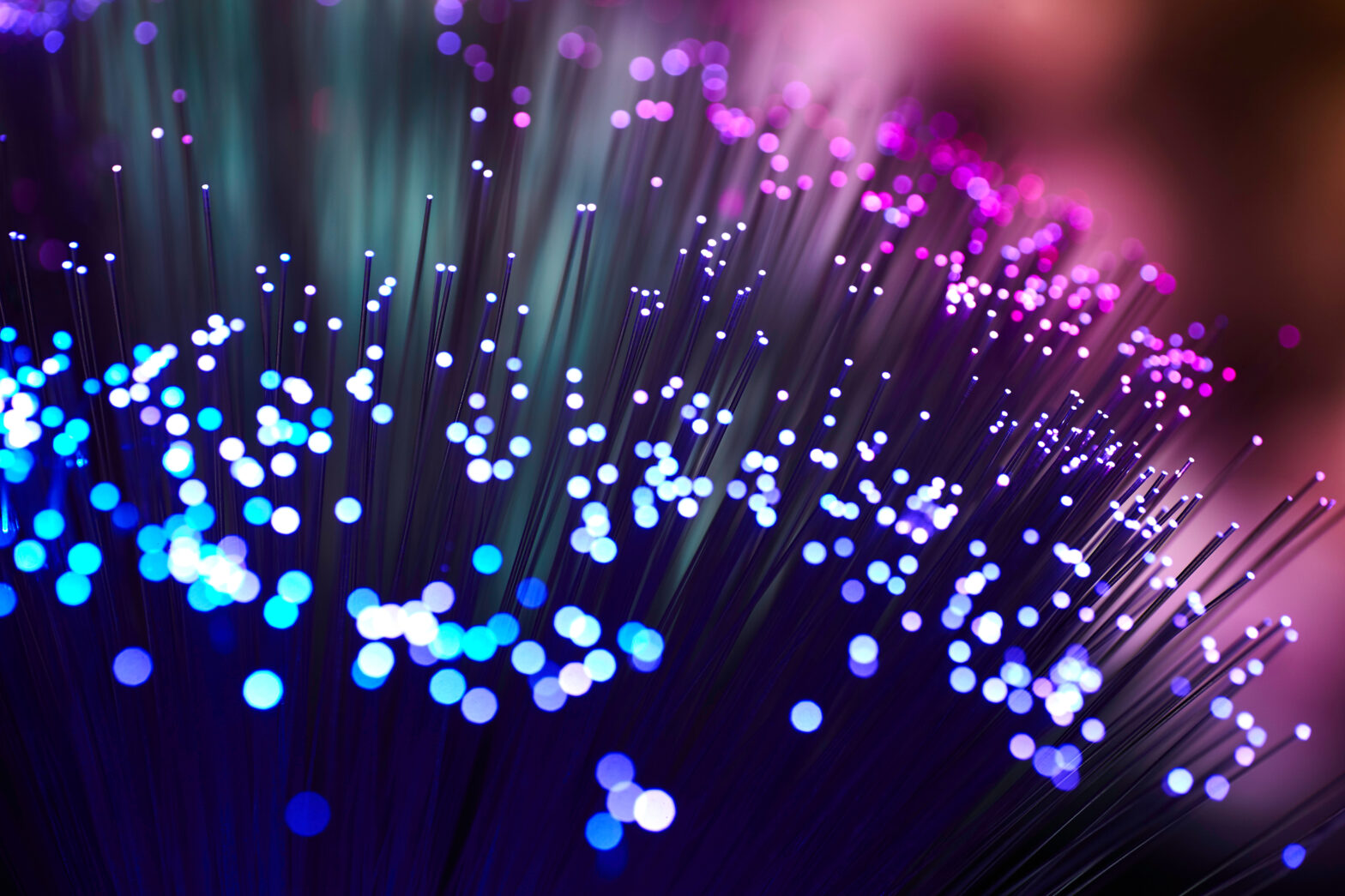 glowing fiber optic strings on color background